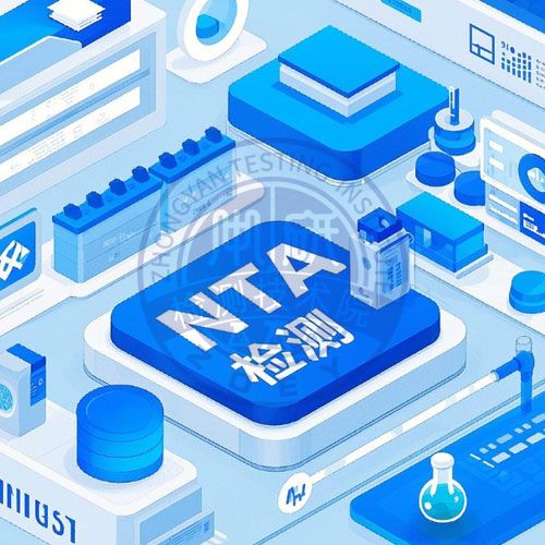 NTA检测