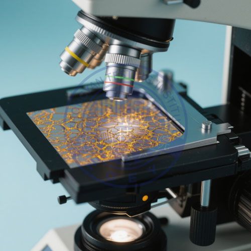 金属金相组织分析检测