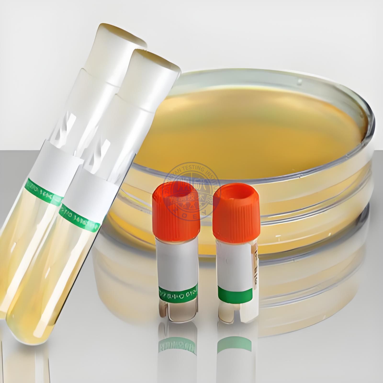 细胞迁移率实验